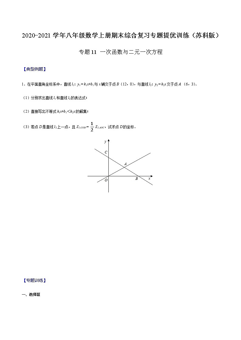 2020-2021学年 苏科版八年级数学上册期末冲刺  专题11 一次函数与二元一次方程（学生版）01