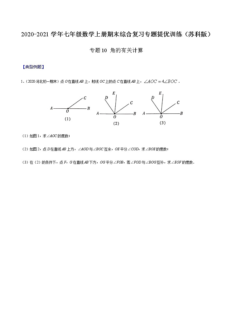 2020-2021学年 苏教版七年级数学上册期末复习冲刺     专题10 角的有关计算（学生版）01