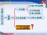 5.3 《二次函数》（共21张PPT） (1)