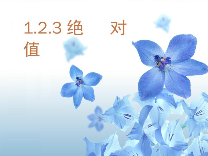 1.2.4绝对值 课件04