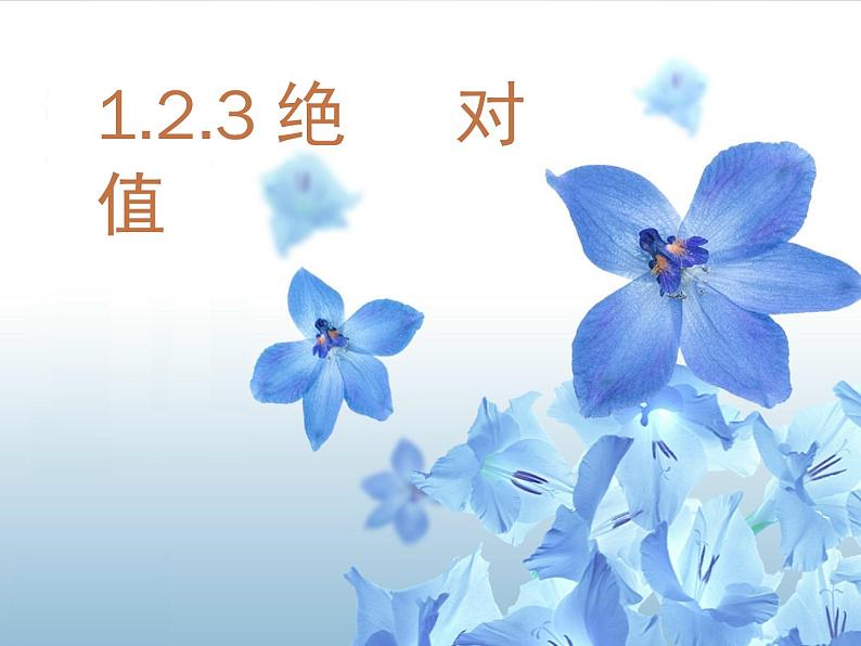 1.2.4绝对值（有理数的大小） 课件01