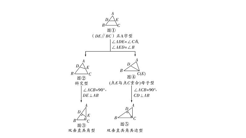 福建2020中考数学一轮培优 第四章  三角形 试卷练习课件02