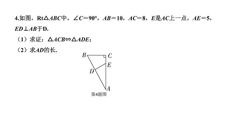 福建2020中考数学一轮培优 第四章  三角形 试卷练习课件05