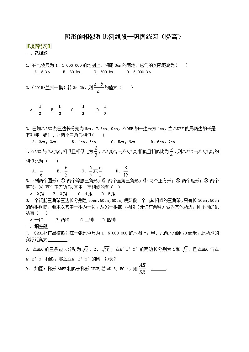 图形的相似和比例线段--巩固练习（提高）01