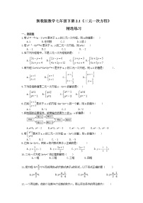 数学2.1 二元一次方程同步达标检测题