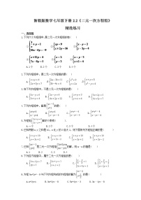 数学2.2 二元一次方程组随堂练习题