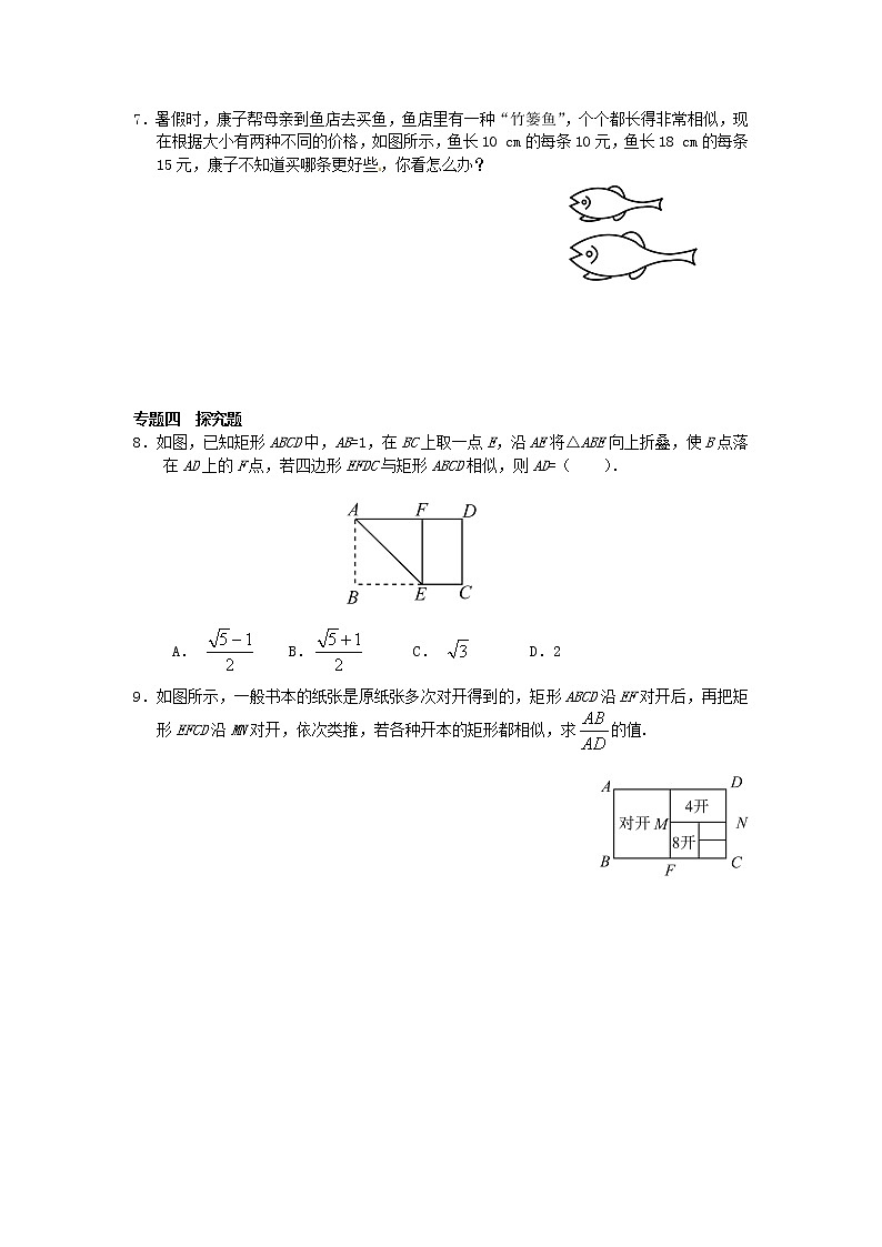 27.1 图形的相似同步练习3 新人教版02