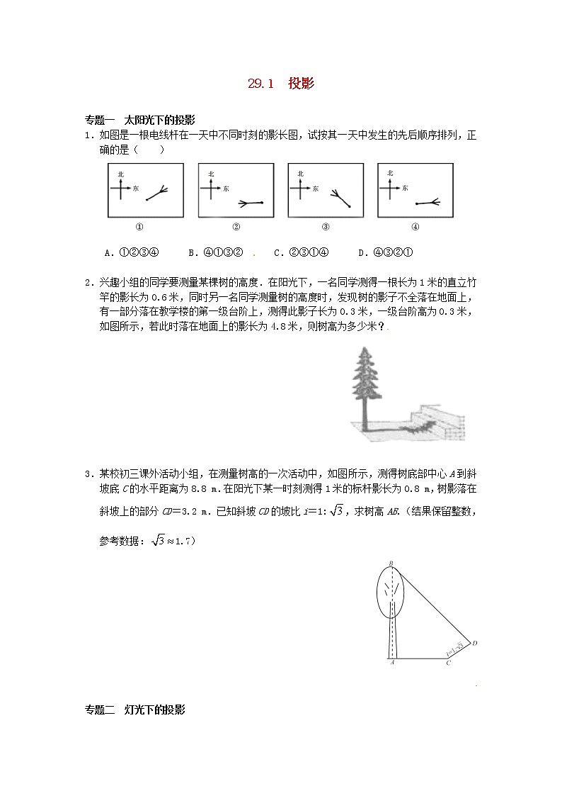 29.1 投影同步练习3 新人教版01