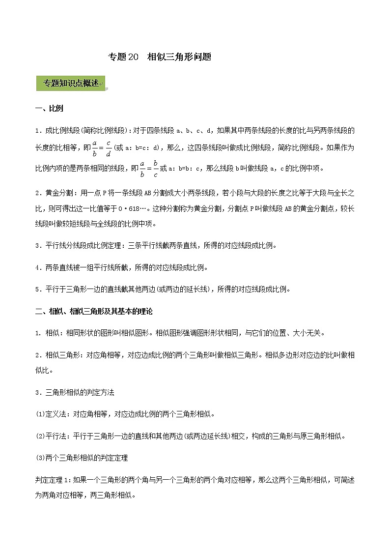 2021年中考数学专题复习 专题20  相似三角形问题（教师版含解析）01