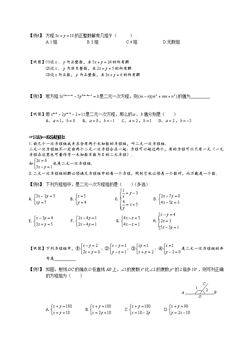 【精品讲义】人教版 七年级下册寒假同步课程（培优版）6二元一次方程组的概念及解法．学生版02