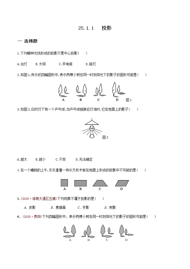 2020-2021学年九年级数学下册同步备课沪科版 25.1.1 投影（作业） 练习01