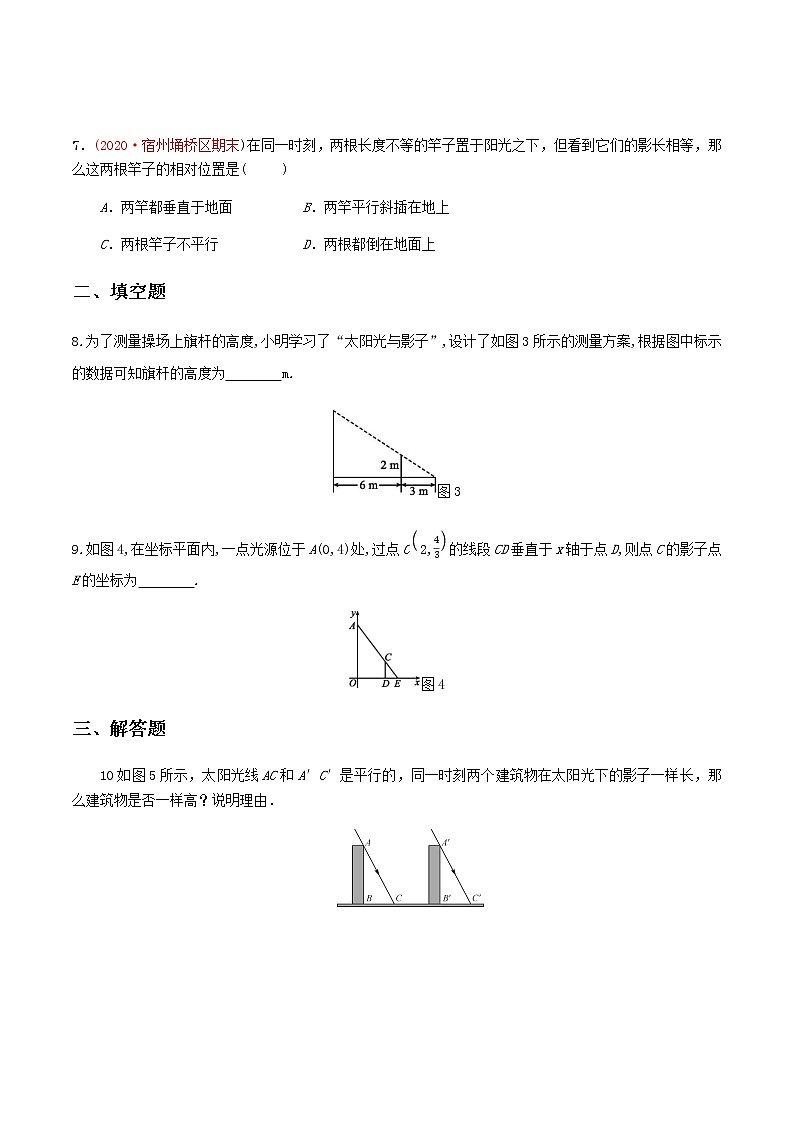 2020-2021学年九年级数学下册同步备课沪科版 25.1.1 投影（作业） 练习02