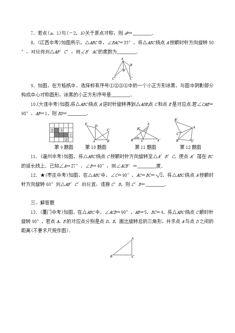 【精品试卷】人教版数学九年级全册复习专项训练5 图形的旋转（含答案）02