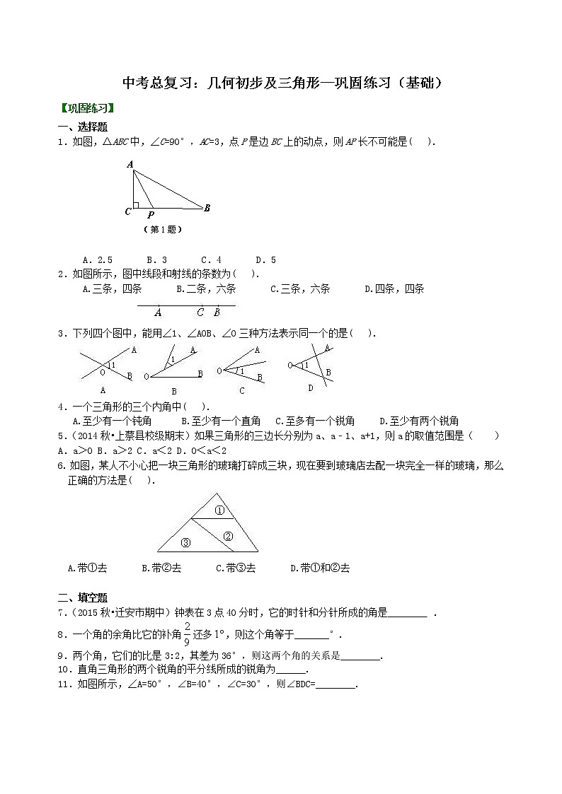 中考总复习：几何初步及三角形--巩固练习（基础）01