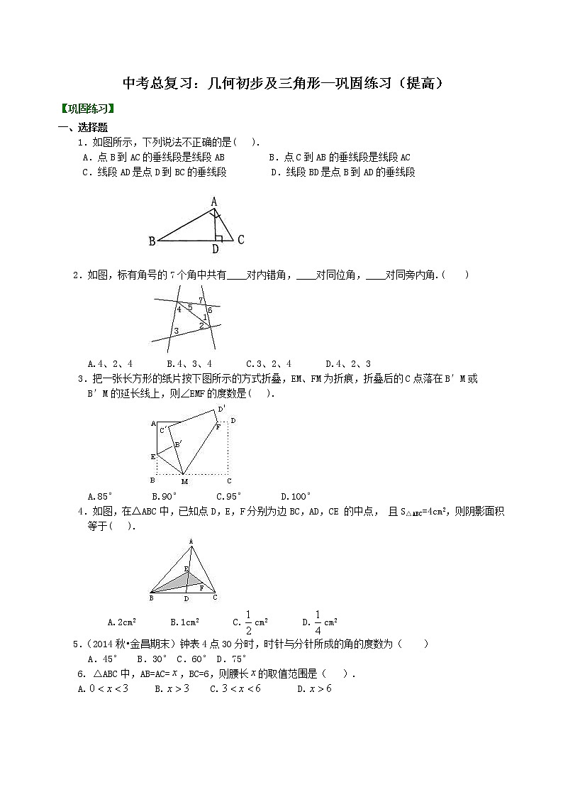 中考总复习：几何初步及三角形--巩固练习（提高）01
