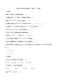 中考数学复习  考点专项训练二次根式