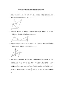 中考数学图形的旋转选择题专项（1）含解析答案