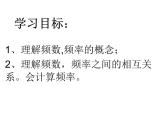 初中數(shù)學(xué)蘇科版八年級下冊第7章7.3頻數(shù)與頻率 課件