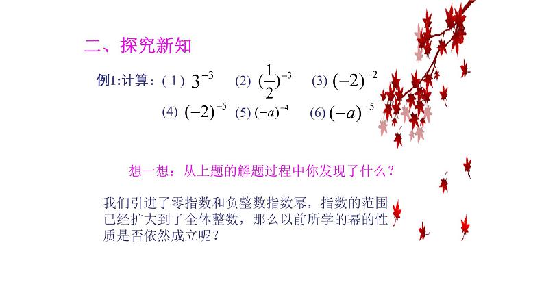 八年级上数学课件- 15-2-3 整数指数幂   课件（共17张PPT）_人教新课标第4页