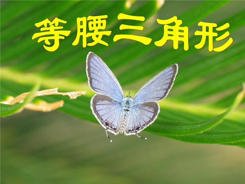 八年级上数学课件八年级上册数学课件《等腰三角形》  人教新课标   (7)_人教新课标01