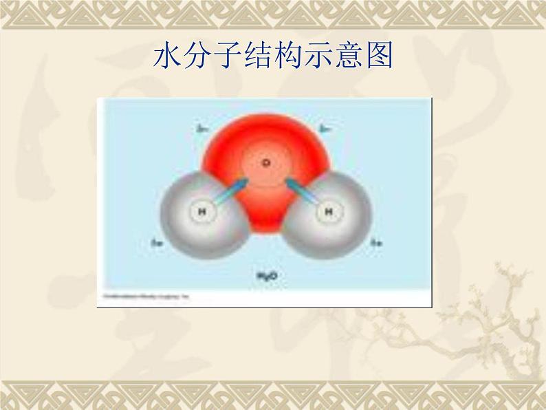 八年级上数学课件八年级上册数学课件《与三角形有关的线段》  人教新课标  (6)_人教新课标05