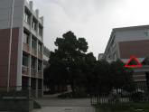 八年级上数学课件八年级上册数学课件《与三角形有关的线段》  人教新课标  (12)_人教新课标