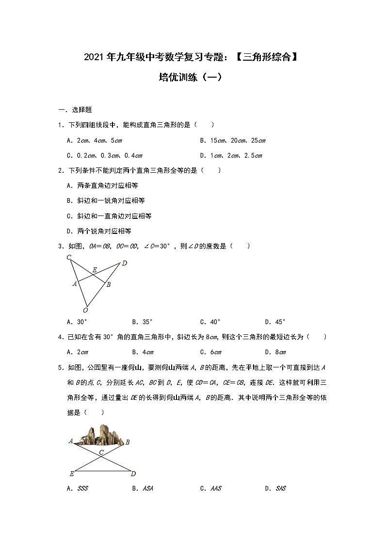 2021年九年级中考数学复习专题：【三角形综合】培优训练（一）第1页