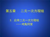 八年级上册数学课件《应用二元一次方程组—鸡兔同笼》 (5)_北师大版