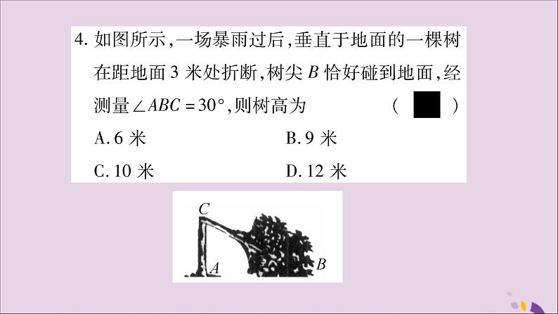 八年级数学上册（十一）习题课件（新版）沪科版05