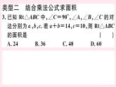 八年級數(shù)學(xué)下冊微專題勾股定理與面積問題（期末熱點(diǎn)）課件