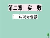 2020秋八年级数学上册第二章《实数》2-1认识无理数作业课件（新版）北师大版