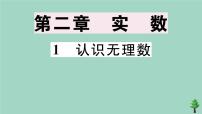 初中数学第二章 实数1 认识无理数获奖作业课件ppt