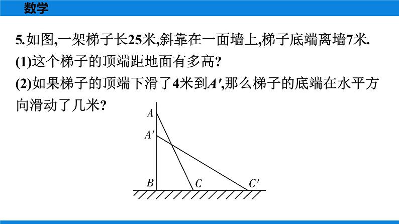 人教版八年级数学下册课时作业 第十七章　勾股定理 练习课件05