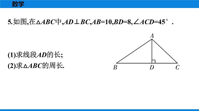 人教版八年级数学下册课时作业 第十七章　勾股定理 练习课件05