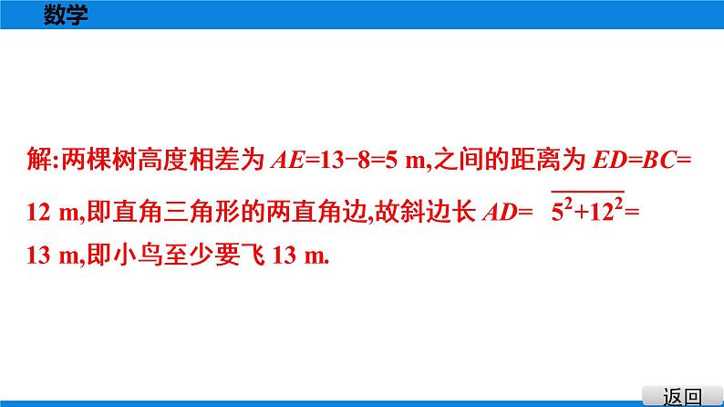 人教版八年级数学下册课堂教本 第十七章　勾股定理 试卷课件07