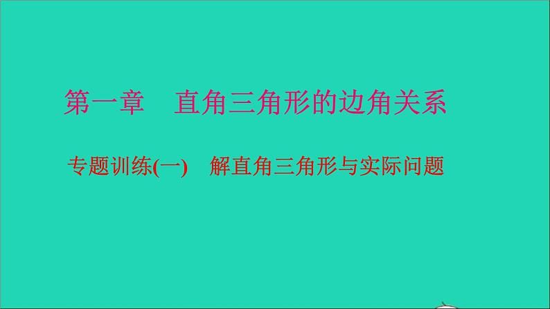 九年级数学下册专题训练一解直角三角形与实际问题作业课件新版北师大版01