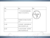 2021北师大版九年级数学下册课件：第三章8圆内接正多边形(共89张PPT)