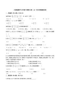 初中8.1 二元一次方程组精品达标测试