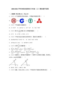 2020-2021学年河南省洛阳市八年级（上）期末数学试卷（解析版）