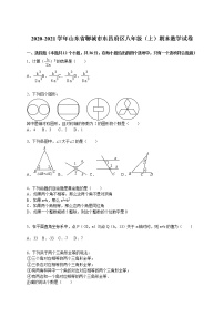 2020-2021学年山东省聊城市东昌府区八年级（上）期末数学试卷（解析版）