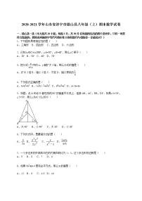 2020-2021学年山东省济宁市微山县八年级（上）期末数学试卷（解析版）