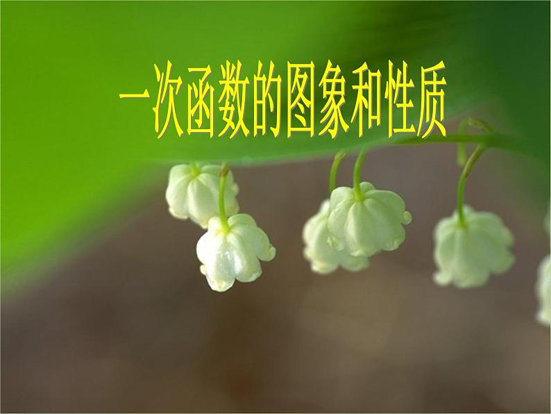 2020秋八年级数学上册第12章一次函数12-2一次函数第2课时一次函数的图象和性质教学课件（新版）沪科版01