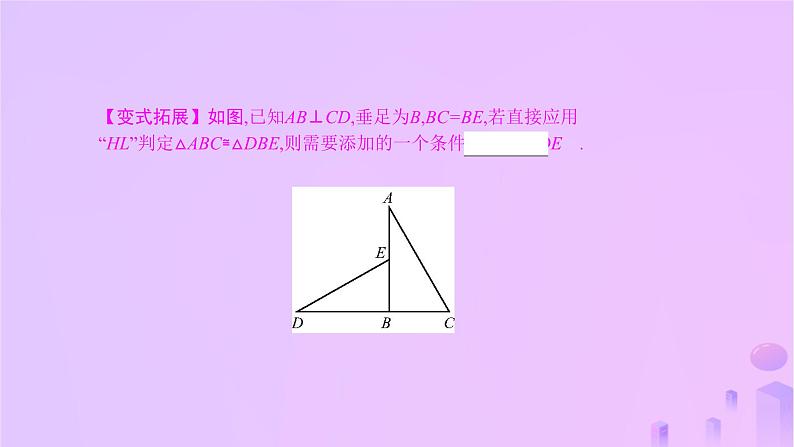 八年级上数学课件第14章全等三角形14-2三角形全等的判定第5课时两个直角三角形全等的判定课件新版沪科版_沪科版05