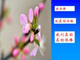 八年级上册数学课件《代入法解二元一次方程组》(3)_北师大版