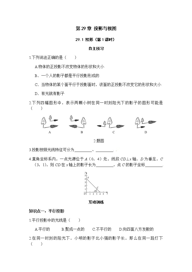 29.1投影（第1课时）-人教版九年级数学下册课堂训练01