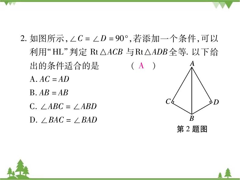 1.2直角三角形PPT课件_北师大版数学八年级下册04