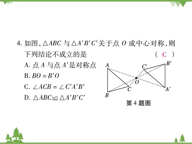 3.3 中心对称.pptxPPT课件_北师大版数学八年级下册07