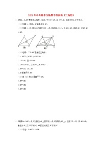 2021年中考数学压轴题专项训练  三角形 (含解析）