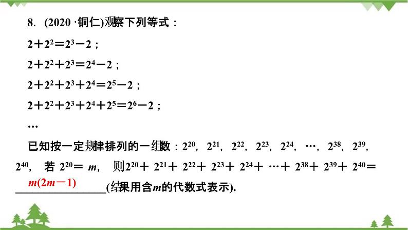 2021年中考数学总复习 拉分题训练课件 规律探索问题08