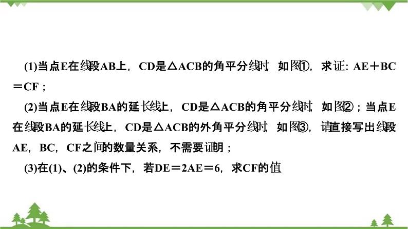 2021年中考数学总复习 拉分题训练课件 静态几何图形综合探究03